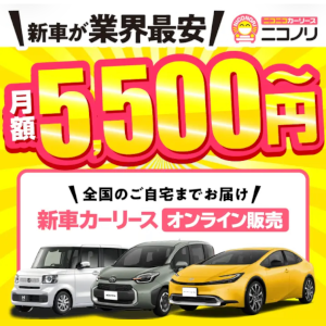 ニコノリ
